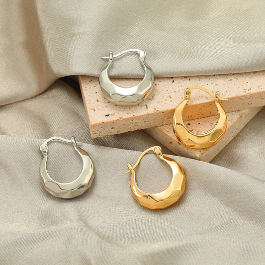 Gleaming Shaped Hoops Earring