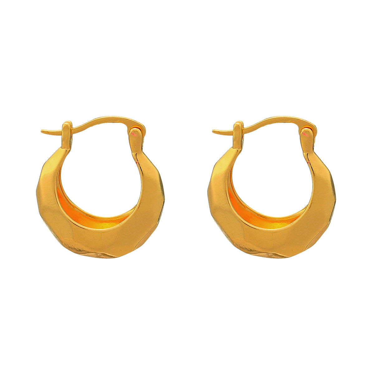 Gleaming Shaped Hoops Earring